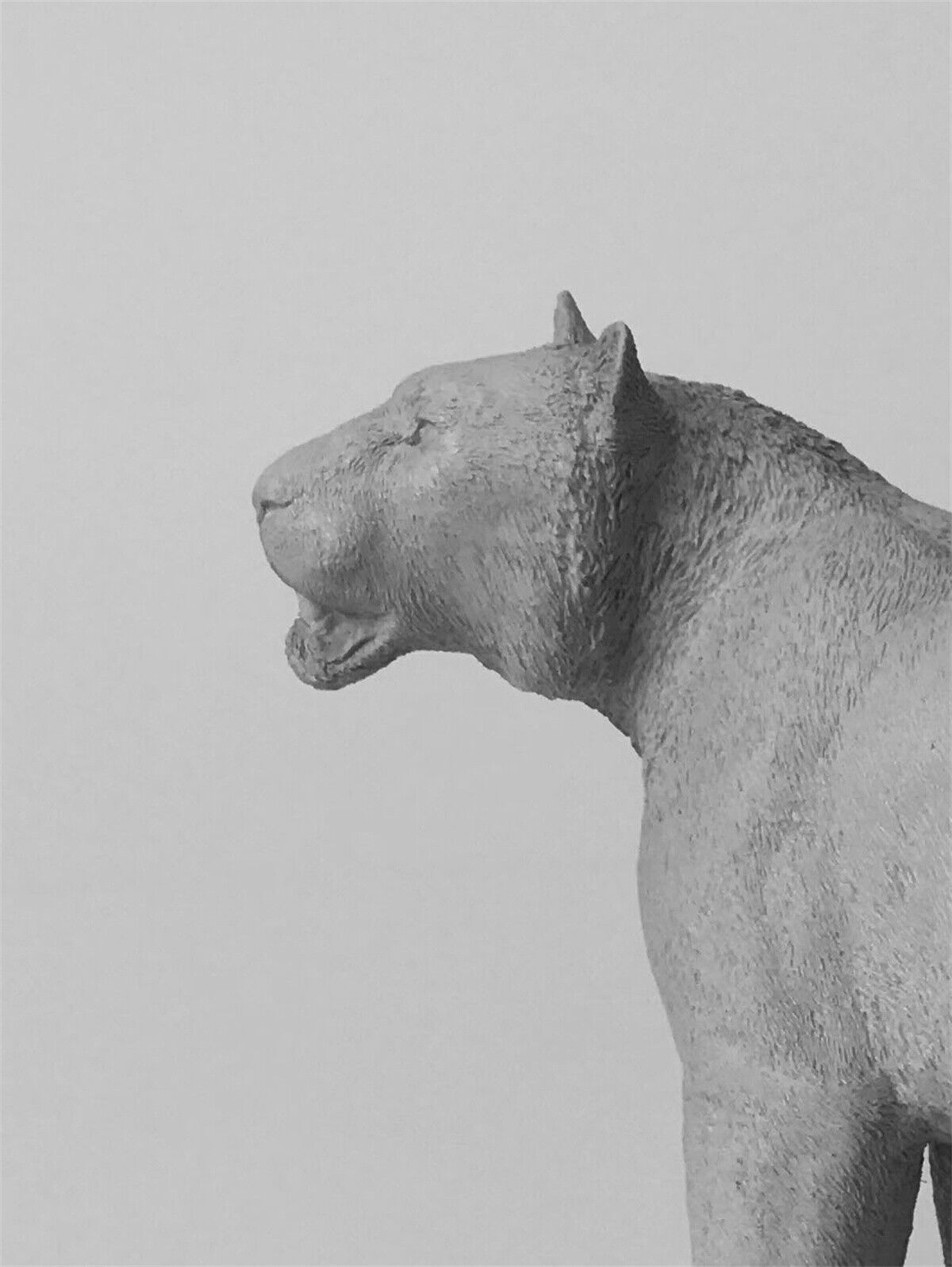 1/10 South China Tiger Unpainted Model