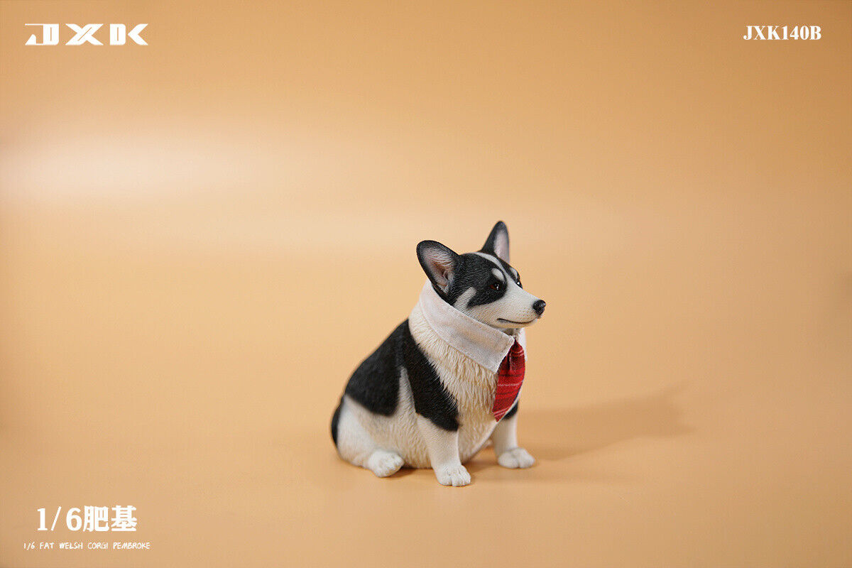 JXK 1/6 Fat Welsh Corgi Pembroke Model