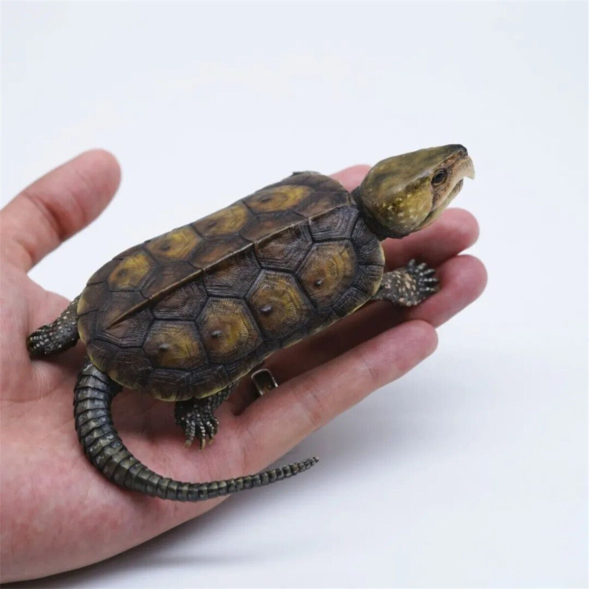 1:1 Big-headed Turtle Statue