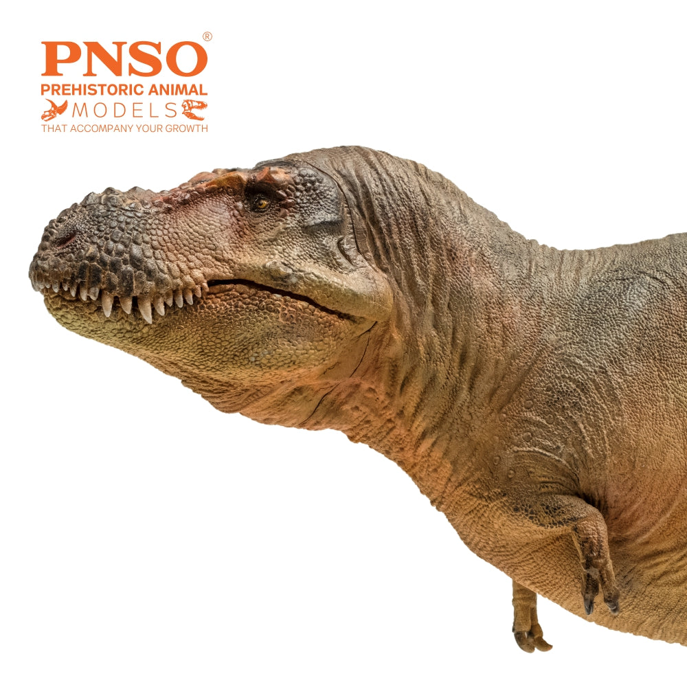 PNSO Luxiong Zhuchengtyrannus Model