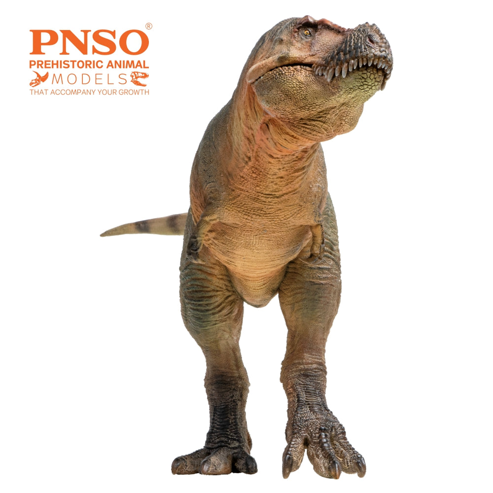 PNSO Luxiong Zhuchengtyrannus Model