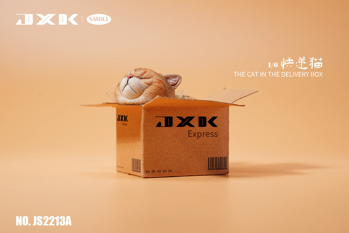 JXK The Cat In The Delivery Box Model