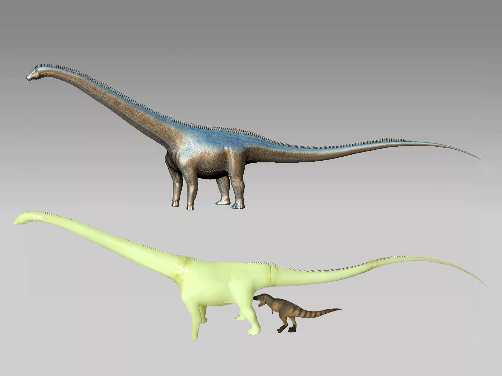 Barosaurus Model Kit