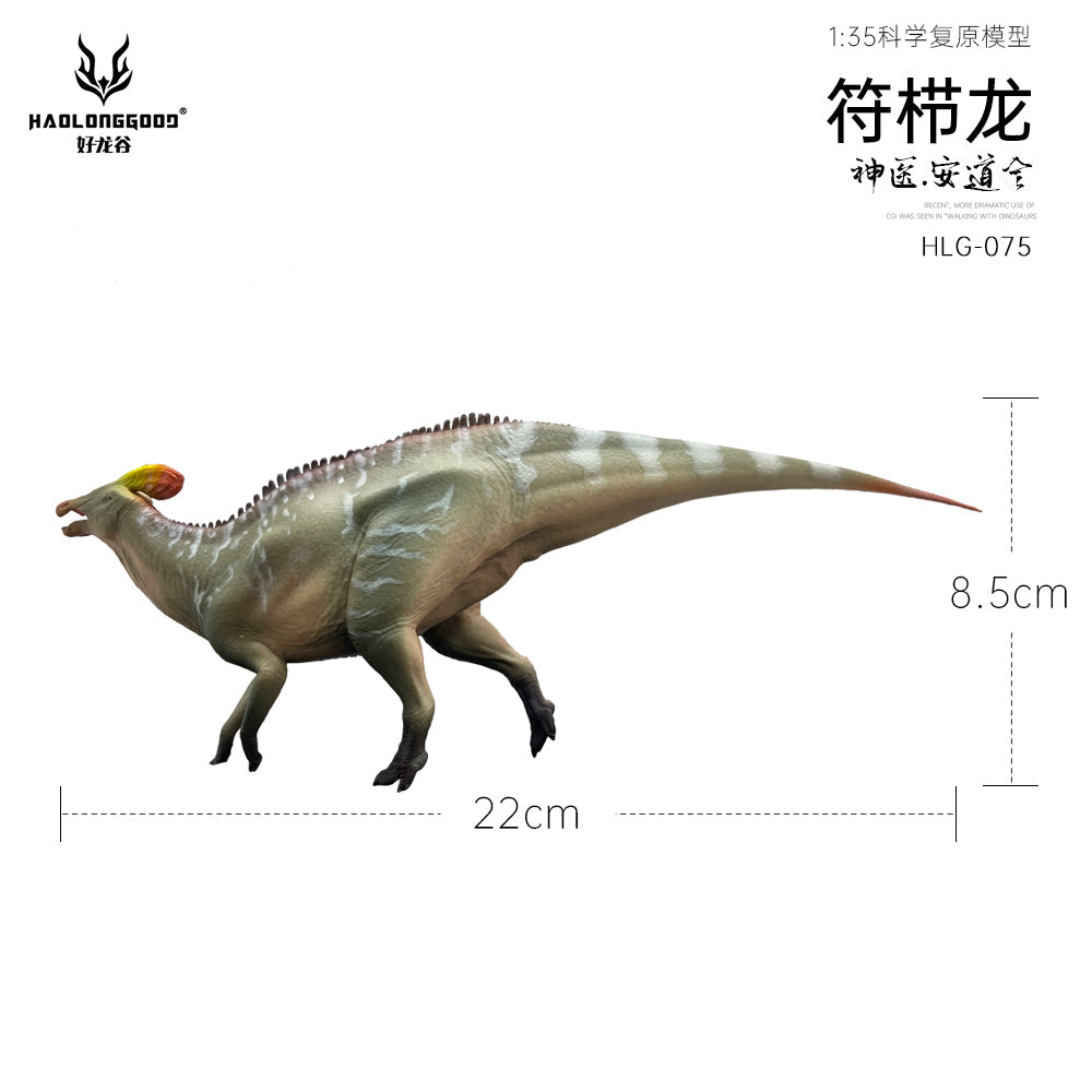 HAOLONGGOOD 1:35 Scale Tlatolophus galorum Model