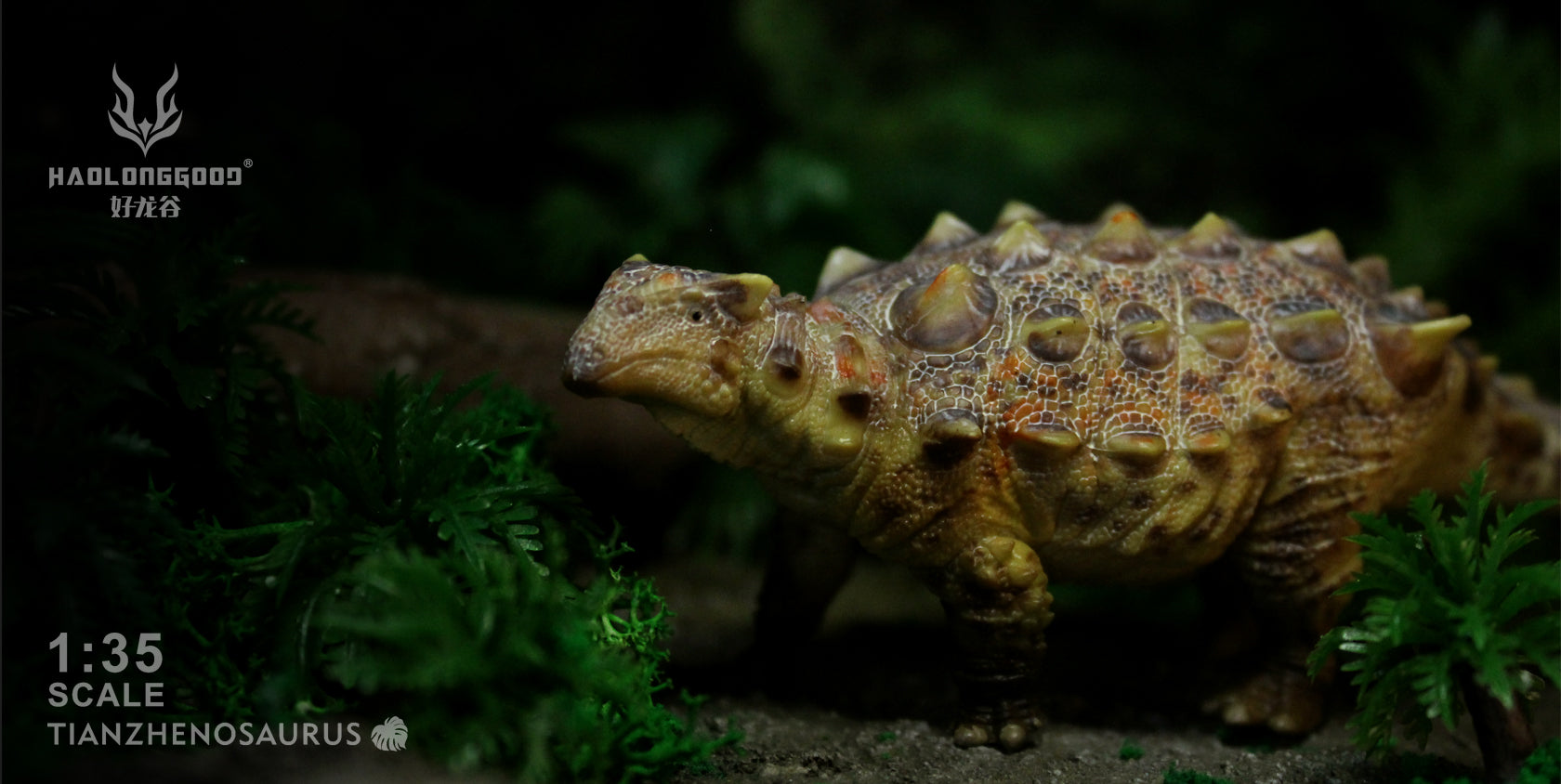 HAOLONGGOOD 1:35 Scale Tianzhenosaurus Model