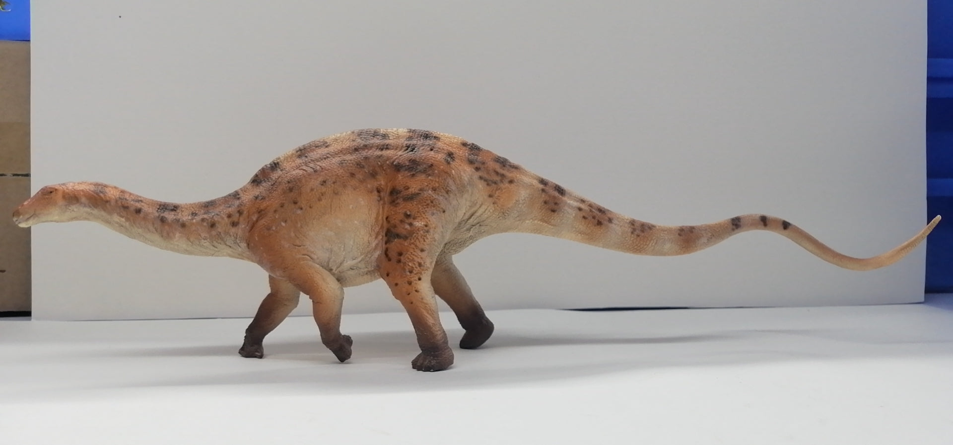 HAOLONGGOOD 1:35 Scale Dicraeosaurus Model