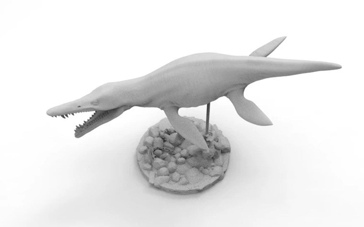 1/35 Pliosaurus Funkei Model