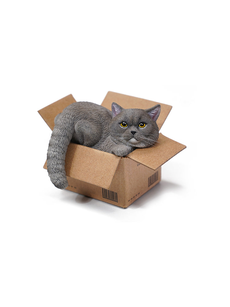 JXK Small The Cat In The Delivery Box 3.0 Model