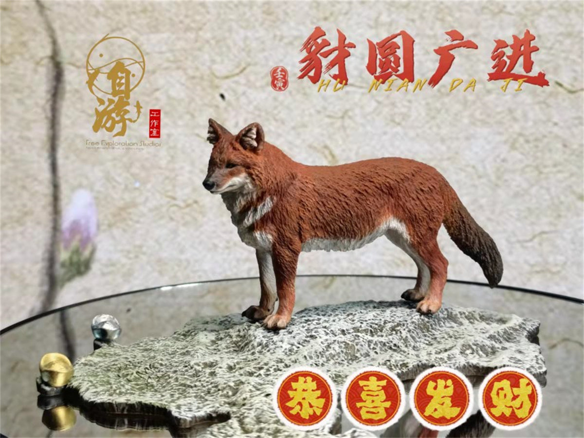 Chinese Dhole and Indian Dhole Model