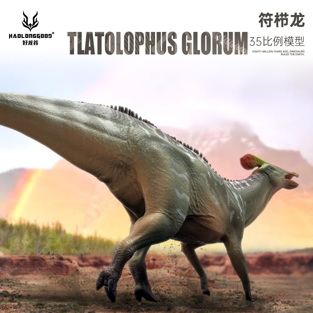HAOLONGGOOD 1:35 Scale Tlatolophus galorum Model