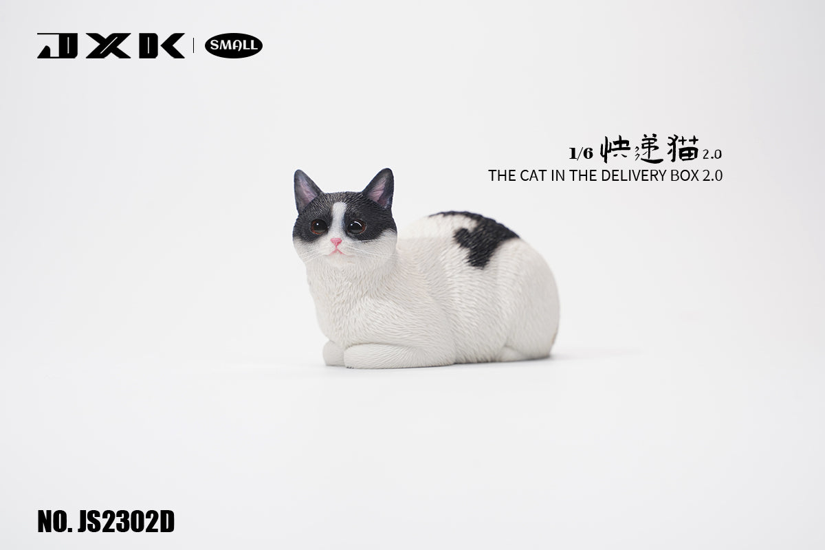 JXK Small The Cat In The Delivery Box 2.0 Model