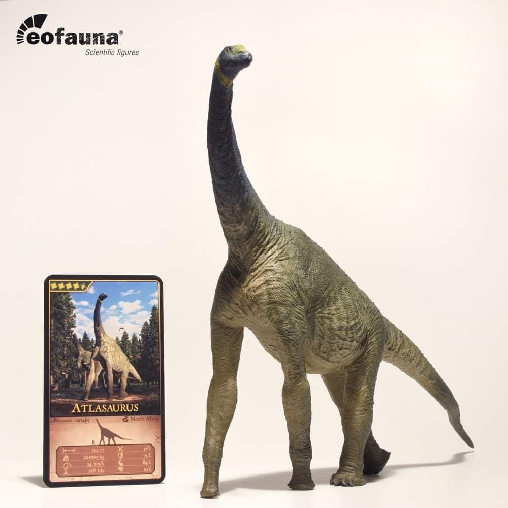 Eofauna 1:40 Scale Atlasaurus Statue