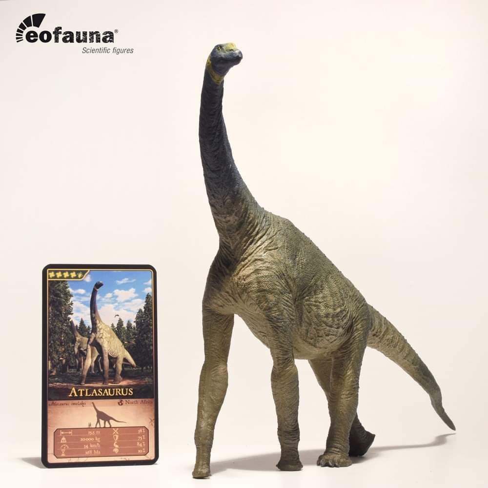 Eofauna 1:35 Scale Deinotherium Figure – Lana Time Shop