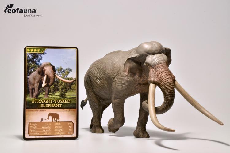Eofauna 1:35 Scale Straight-tusked Elephant Figure
