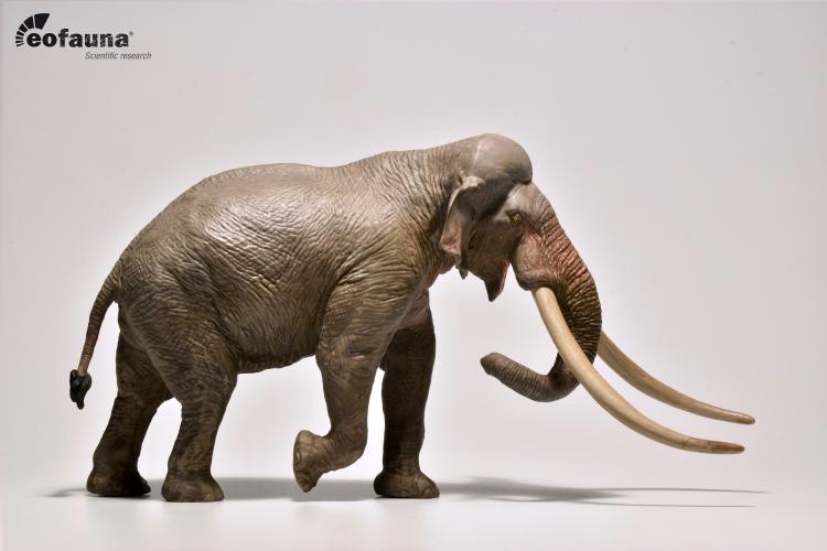 Eofauna 1:35 Scale Straight-tusked Elephant Figure