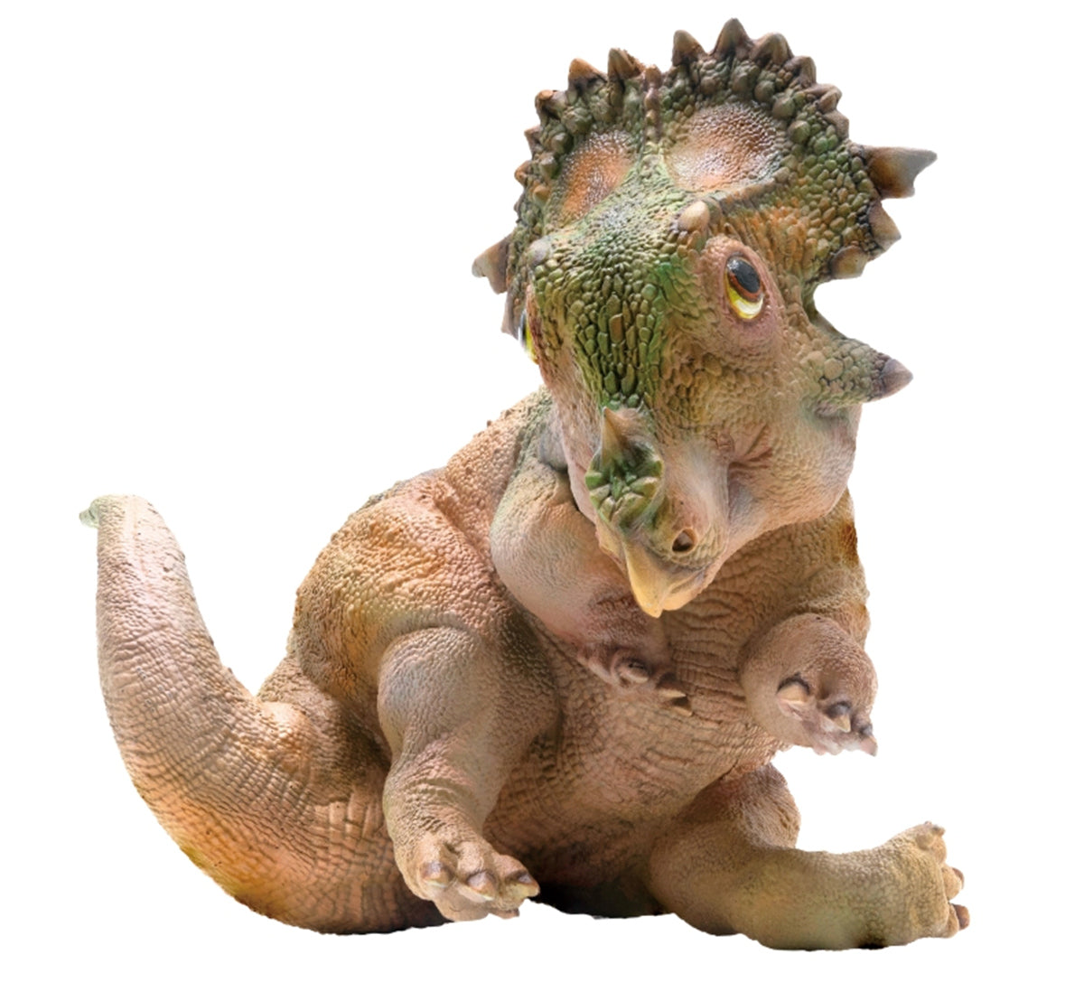 PNSO Sinoceratops Baby Figure