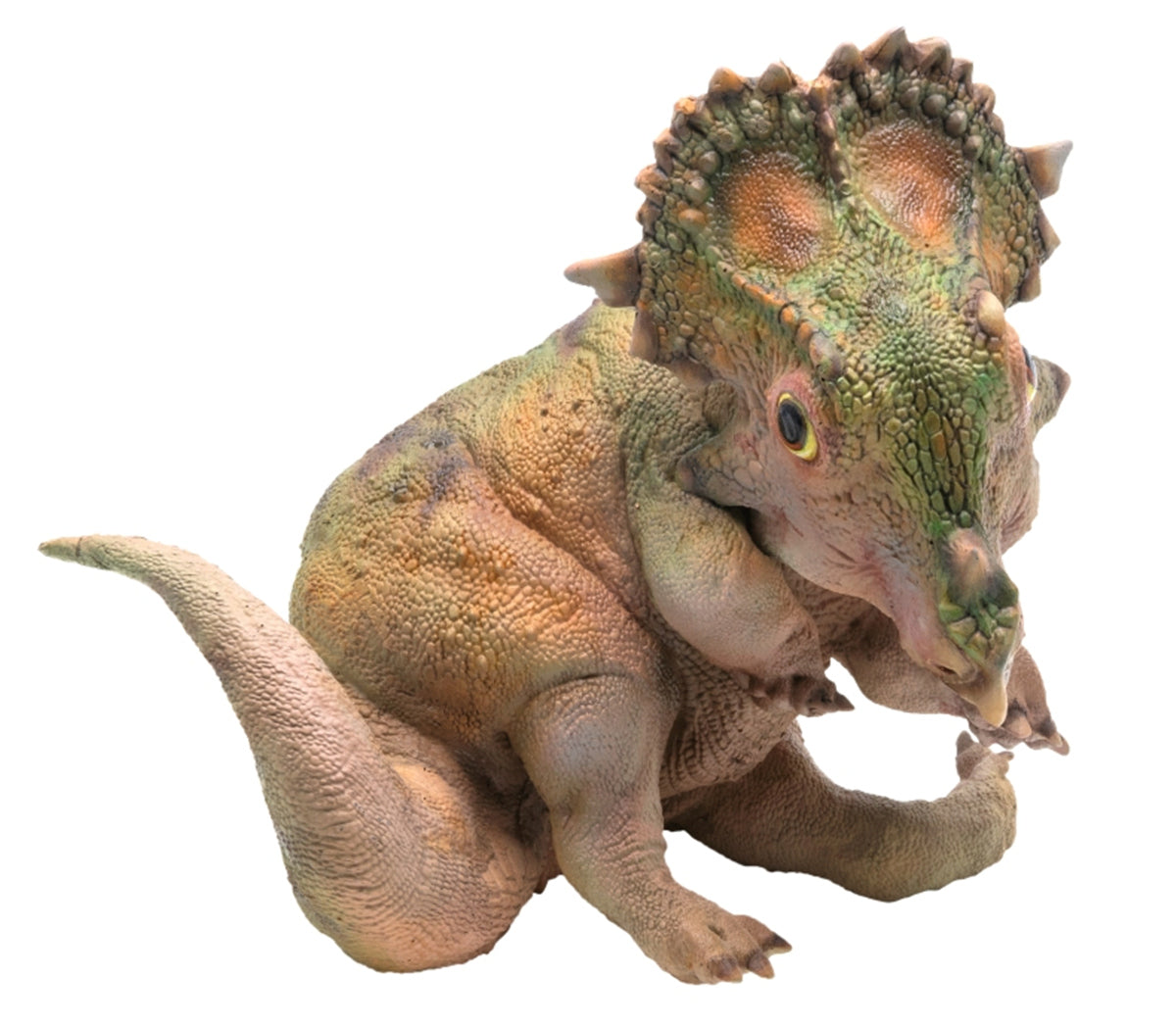 PNSO Sinoceratops Baby Figure