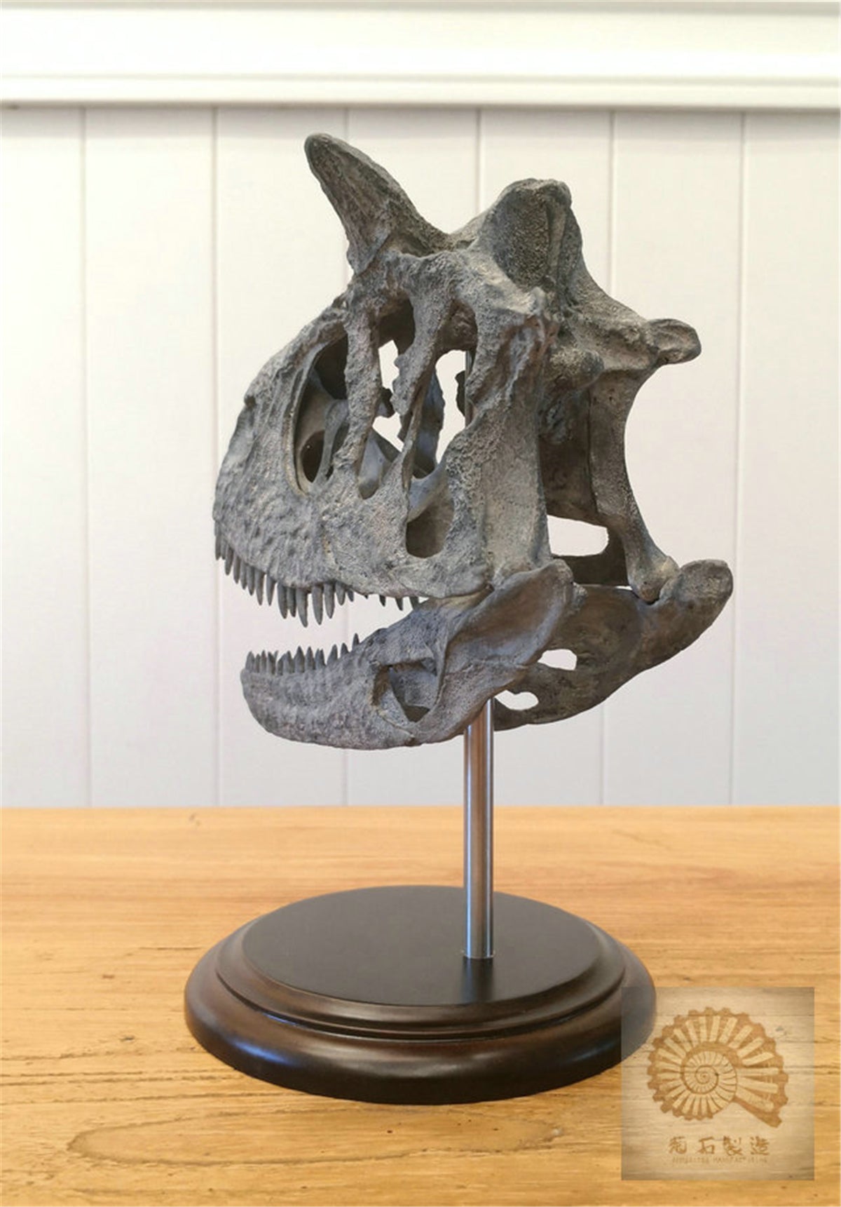 Carnotaurus Skull Skeleton Model