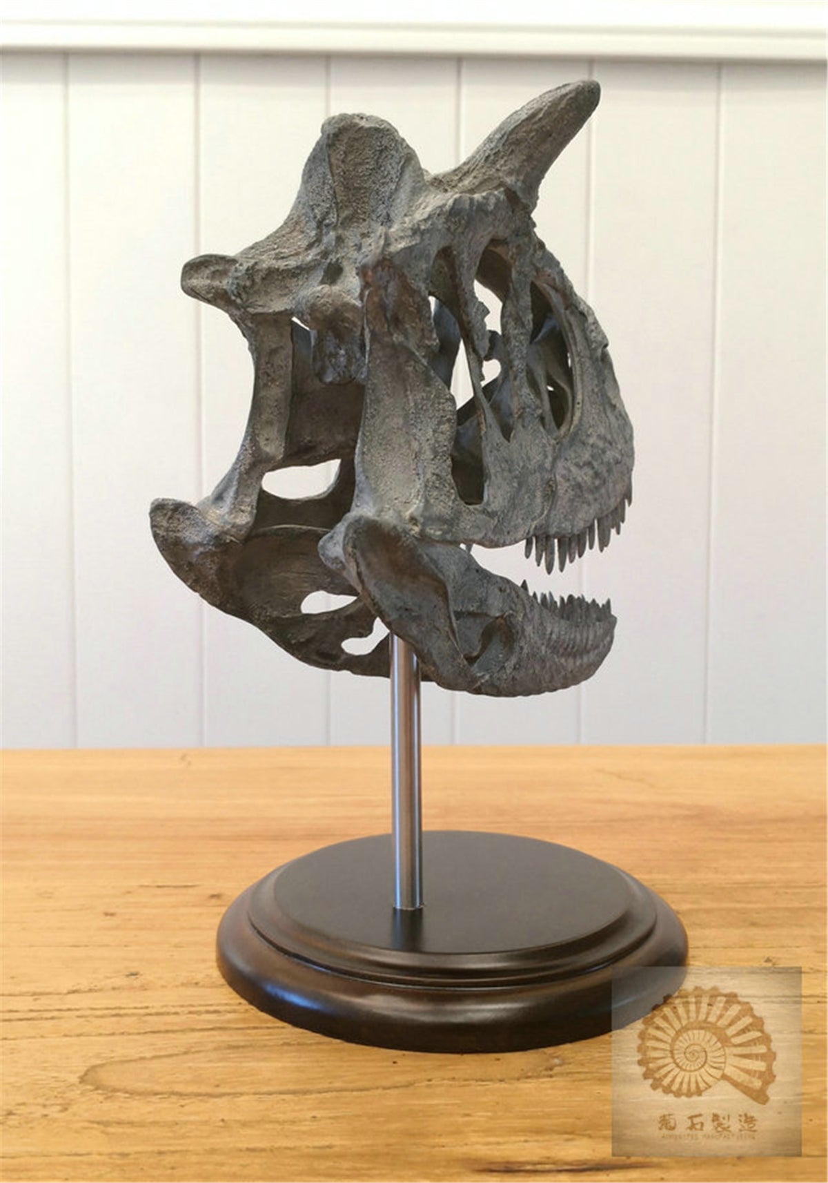 Carnotaurus Skull Skeleton Model