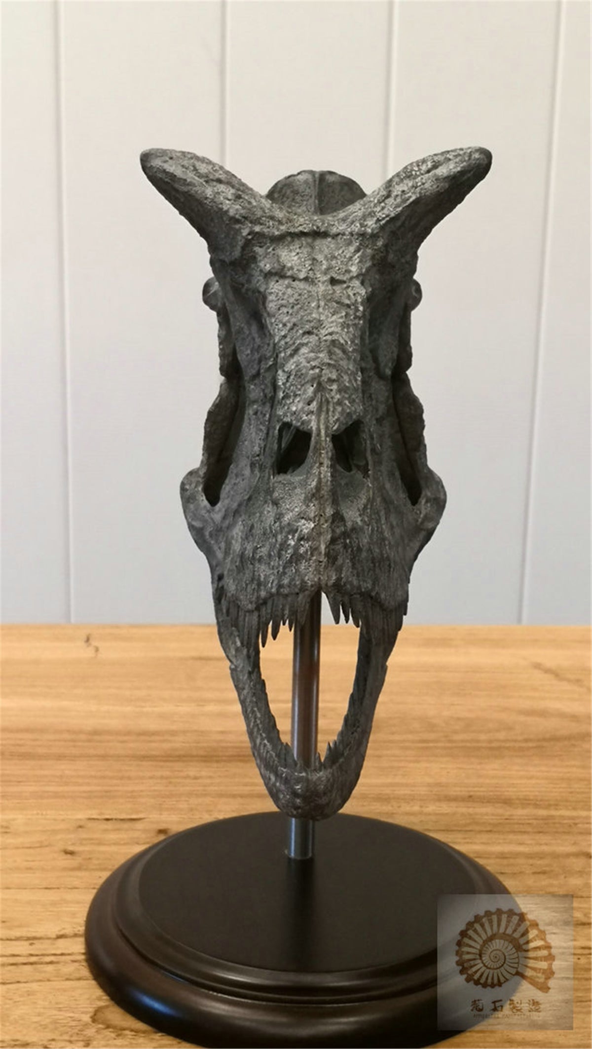 Carnotaurus Skull Skeleton Model