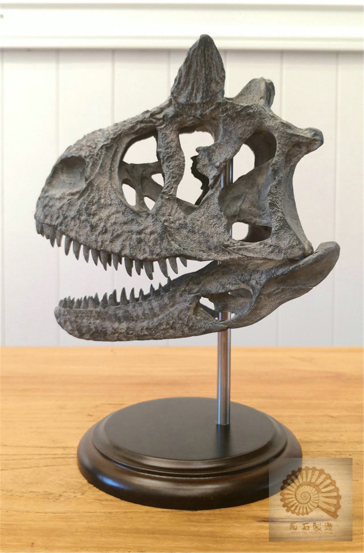 Carnotaurus Skull Skeleton Model