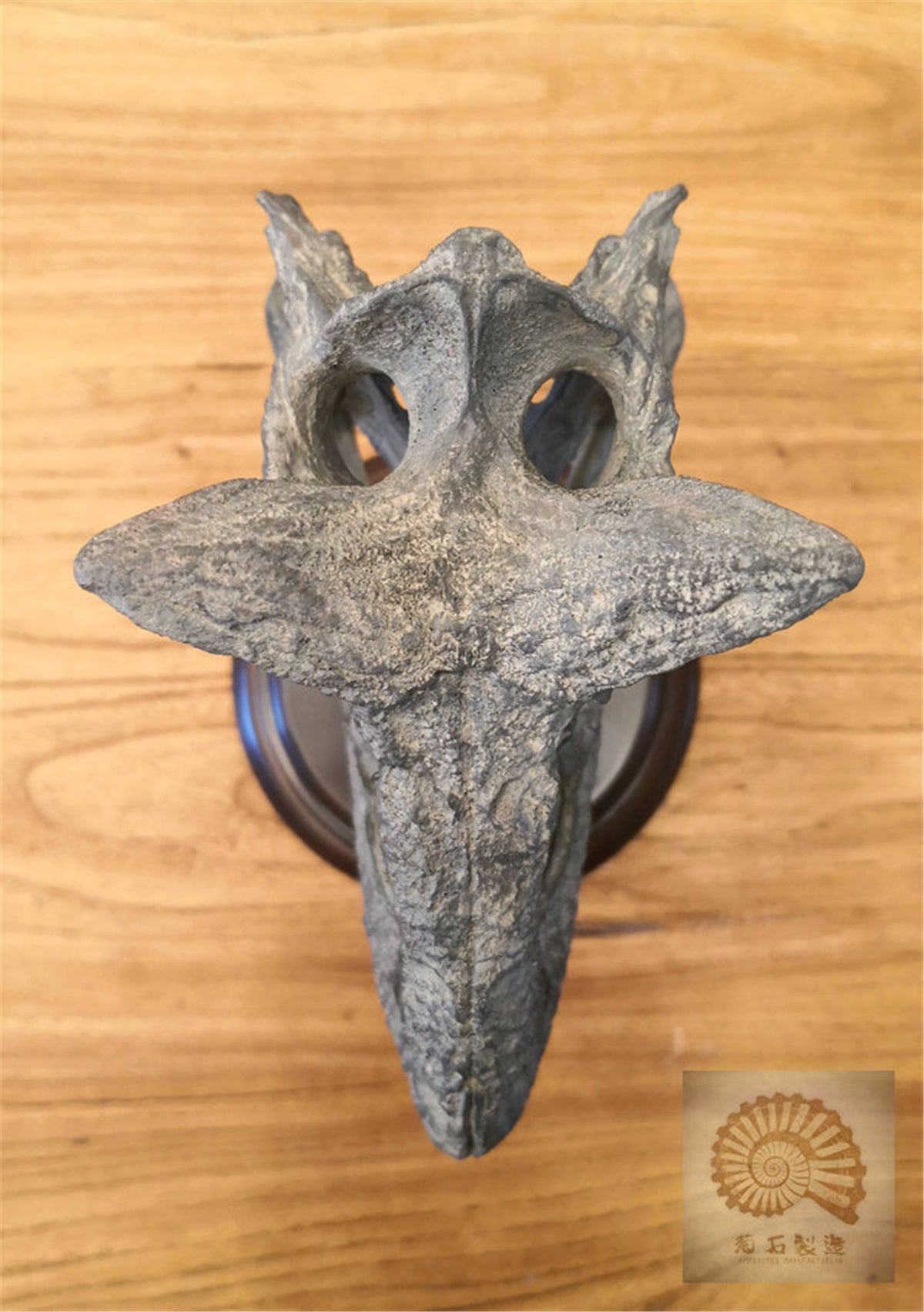 Carnotaurus Skull Skeleton Model