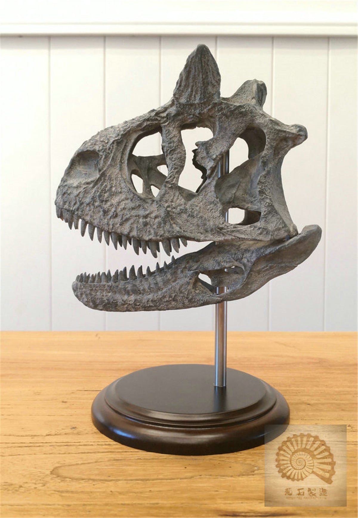 Carnotaurus Skull Skeleton Model