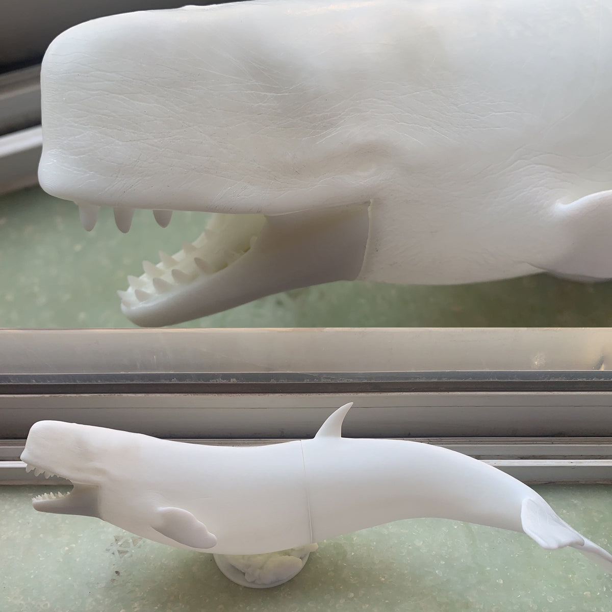 Livyatan melvillei Statue