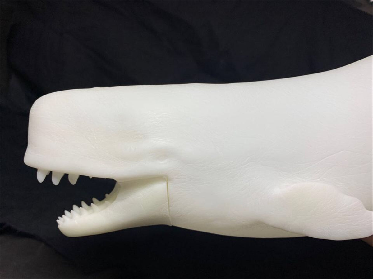 Livyatan melvillei Statue