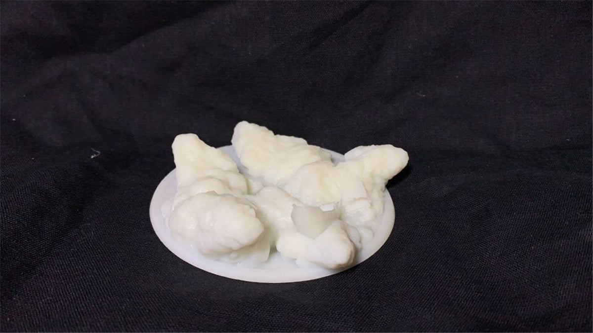 Livyatan melvillei Statue