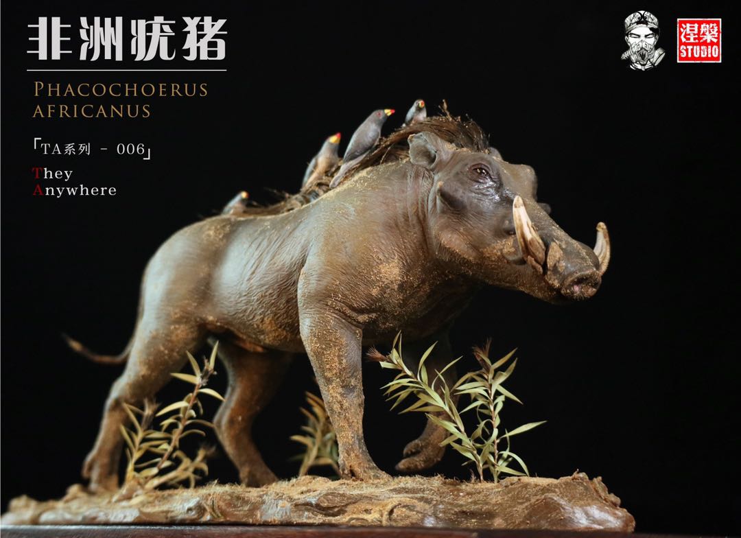 Africa Warthog Scene Model