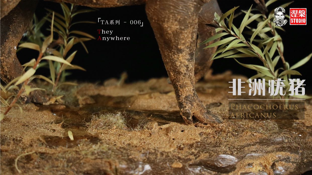 Africa Warthog Scene Model