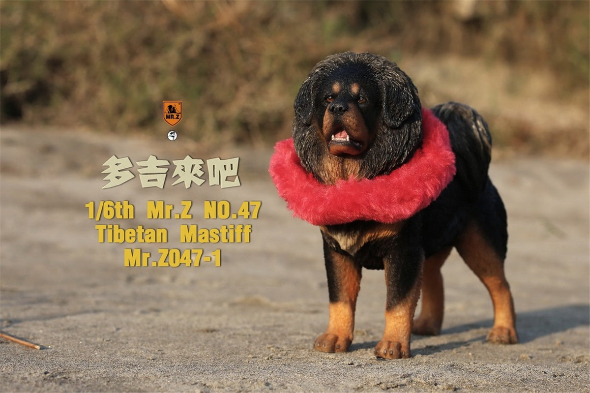 Mr.Z Animal Model 1/6 Tibetan Mastiff Statue