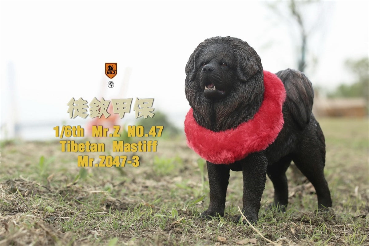 Mr.Z Animal Model 1/6 Tibetan Mastiff Statue