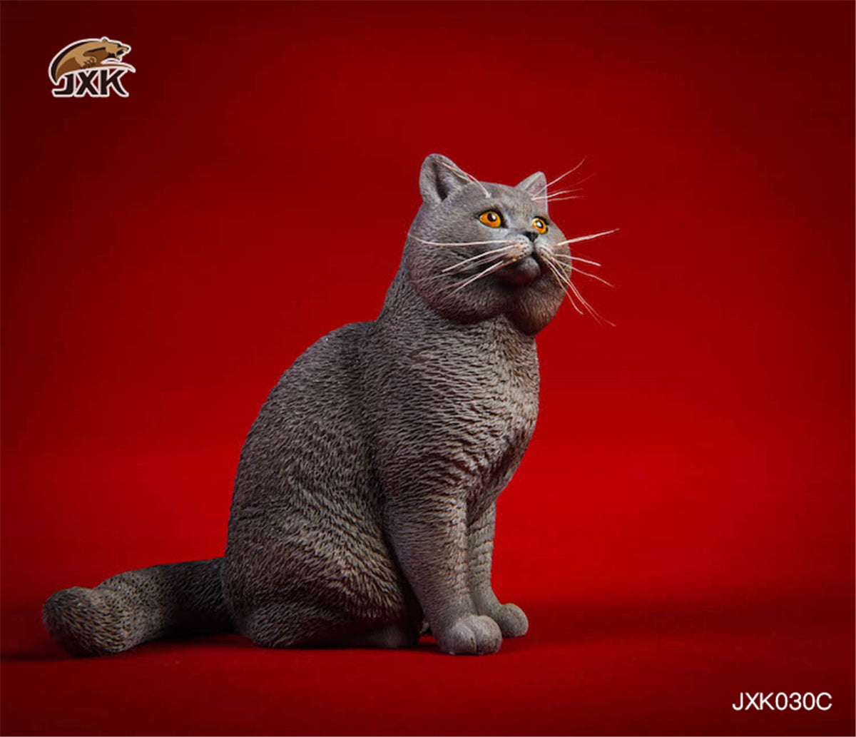 JXK 1/6 British Shorthair Cat Figure