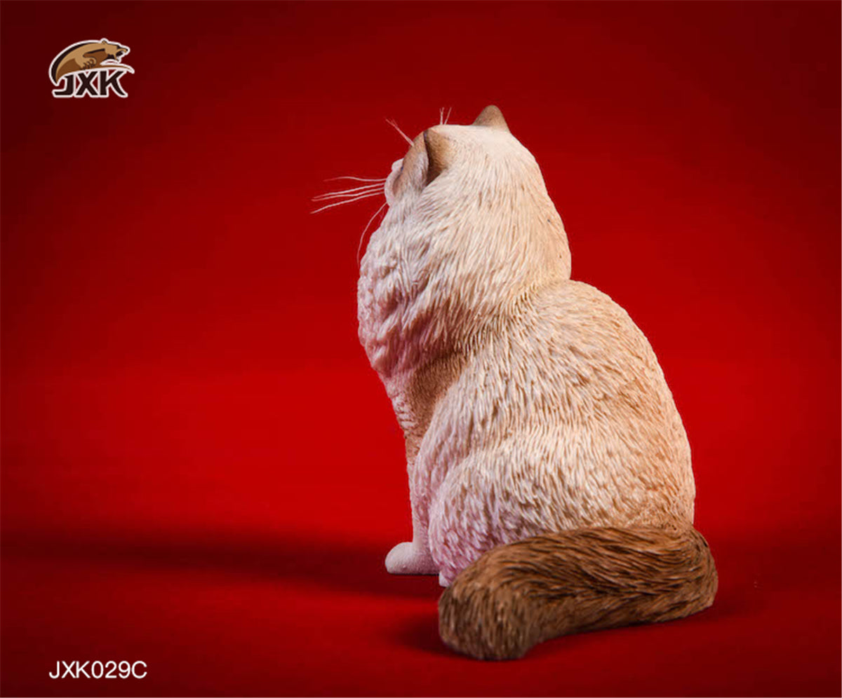 JXK 1/6 Ragdoll Cat Figure