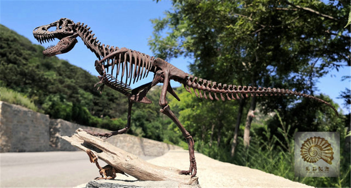1/25 Tyrannosaurus Rex Hunt Edmontosaurus Fossil Model