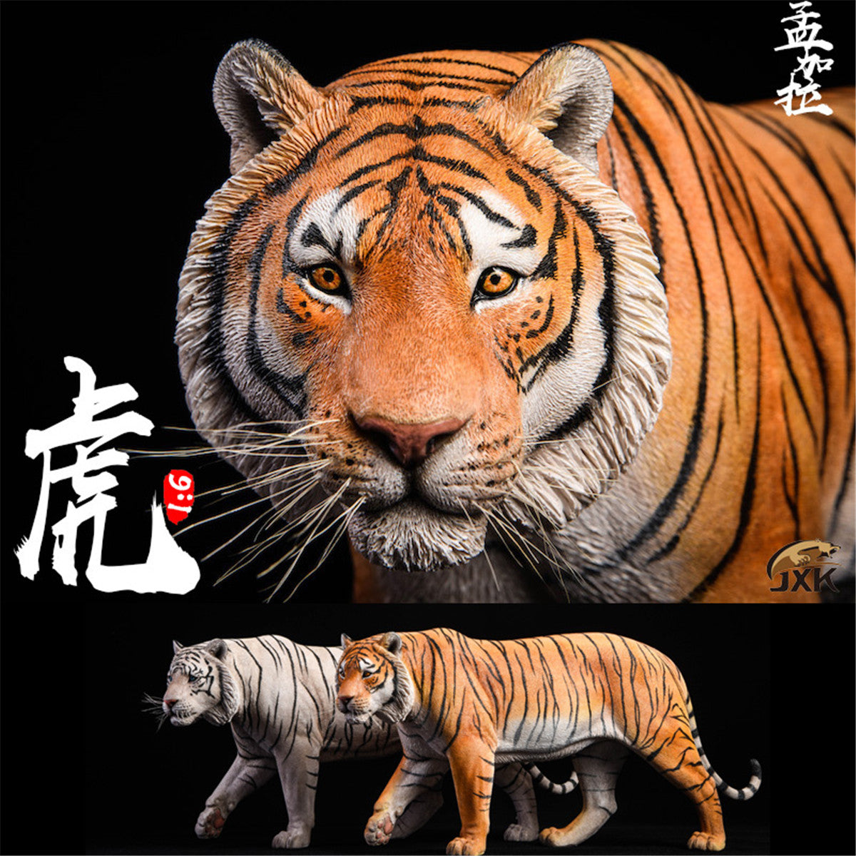 JXK 1/6 Bengal Tiger Figure
