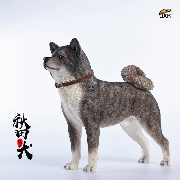 JXK 1/6 Japanese Akita Dog Figure