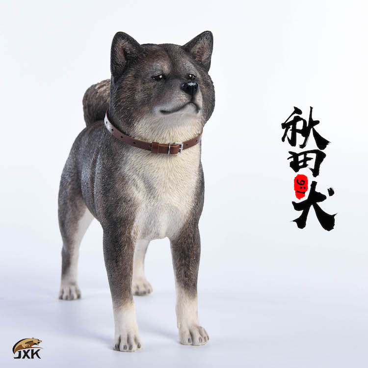 JXK 1/6 Japanese Akita Dog Figure