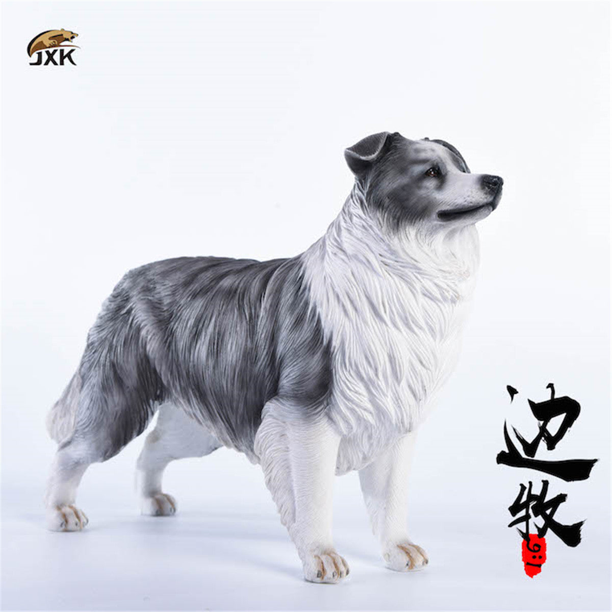 JxK 1/6 Border Collie Figure
