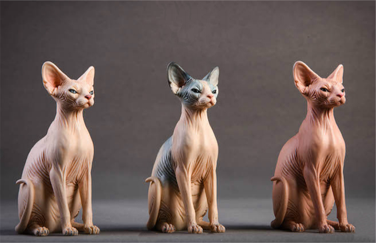 JXK Canadian Hairless Cat Figure