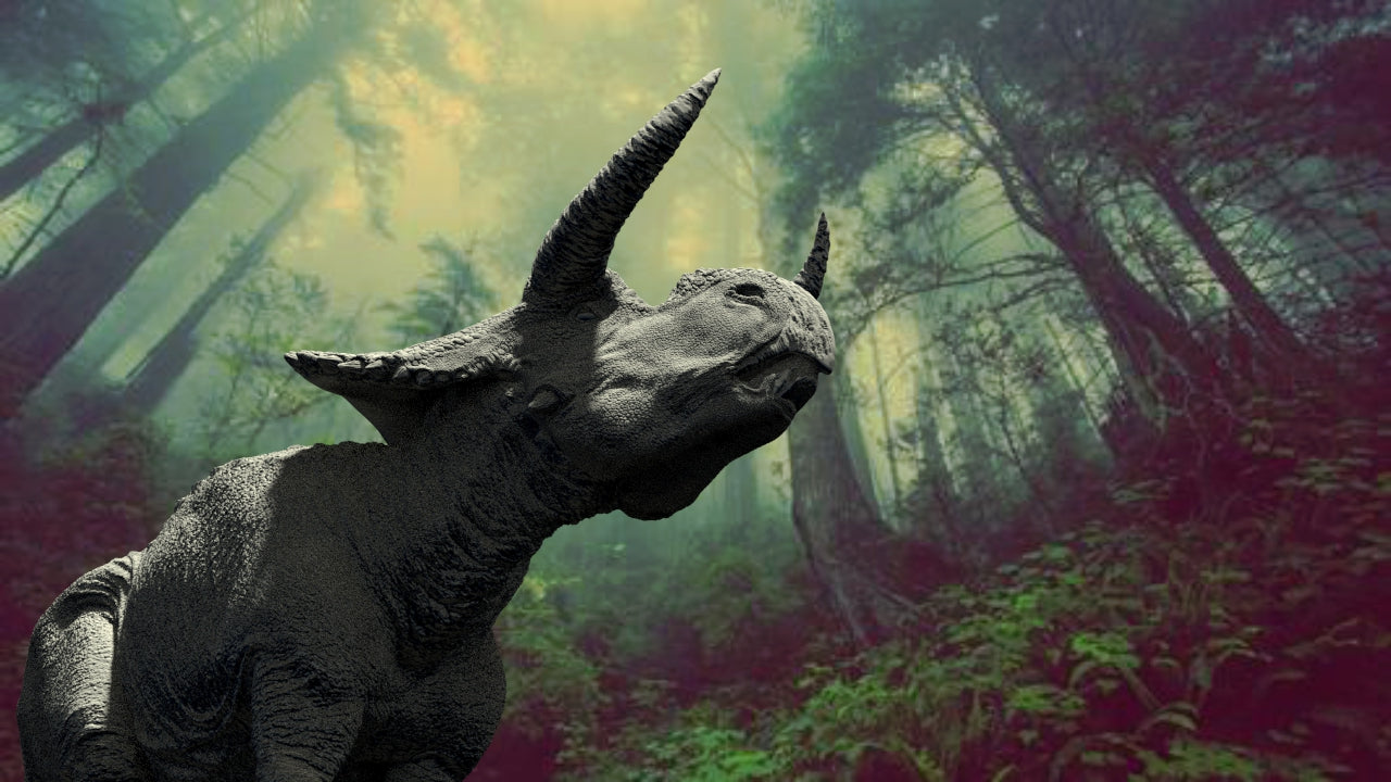 Nasutoceratops Graze Pose Statue