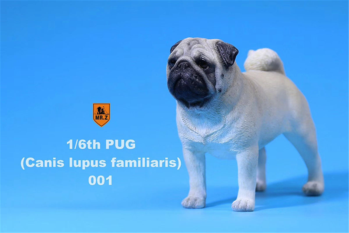Mr.Z 1/6 Pug Dog Figure