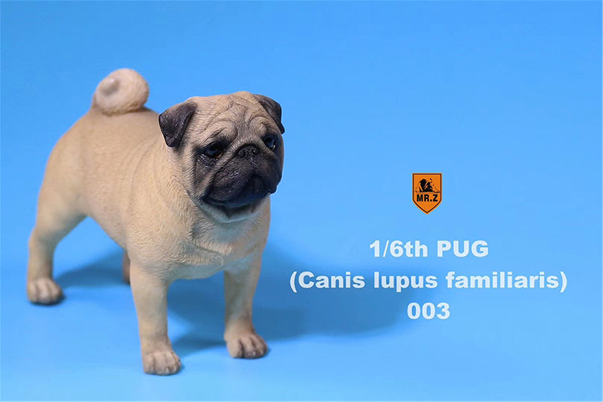 Mr.Z 1/6 Pug Dog Figure