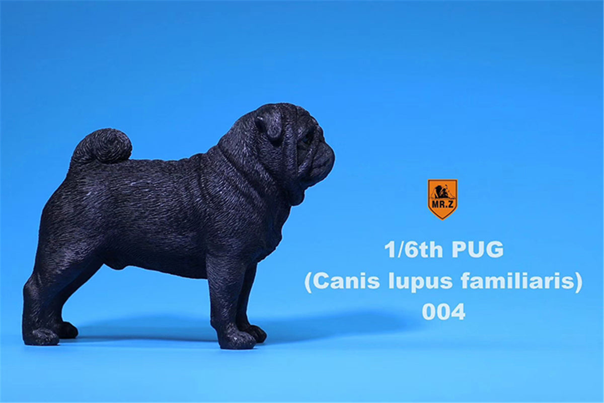 Mr.Z 1/6 Pug Dog Figure