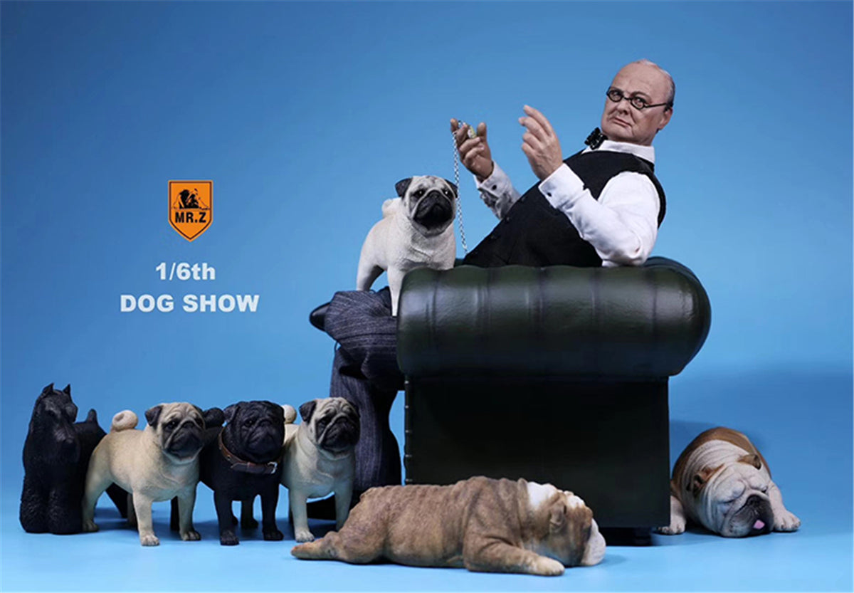 Mr.Z 1/6 Pug Dog Figure