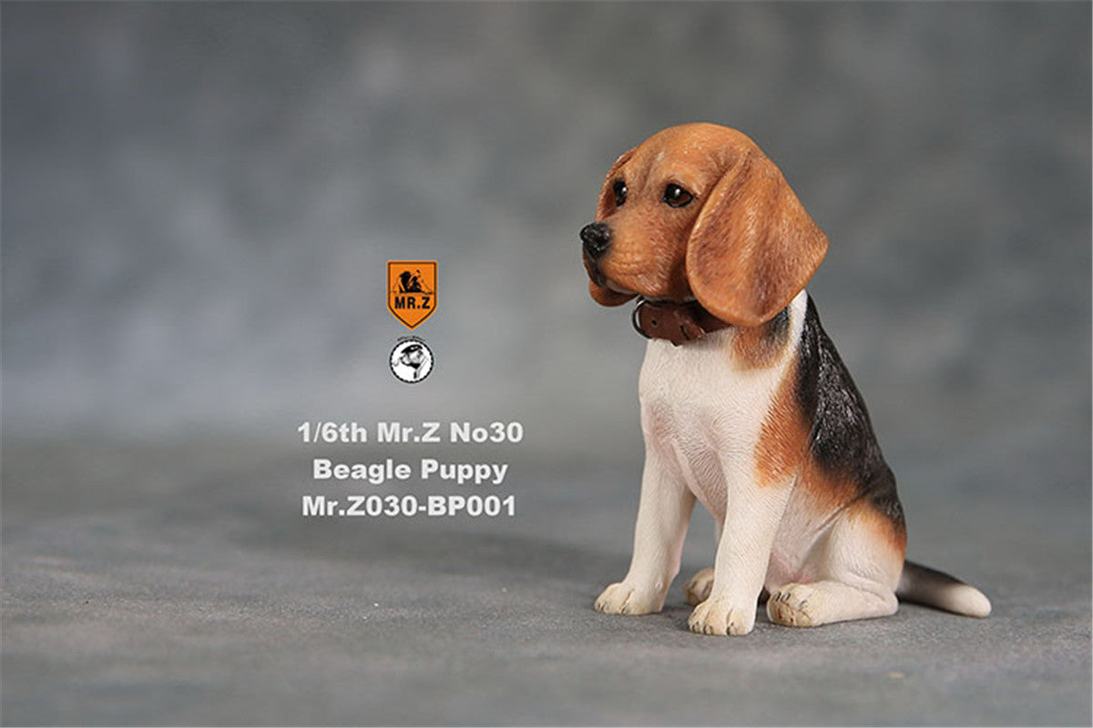 Mr.Z Beagle Puppy Figure