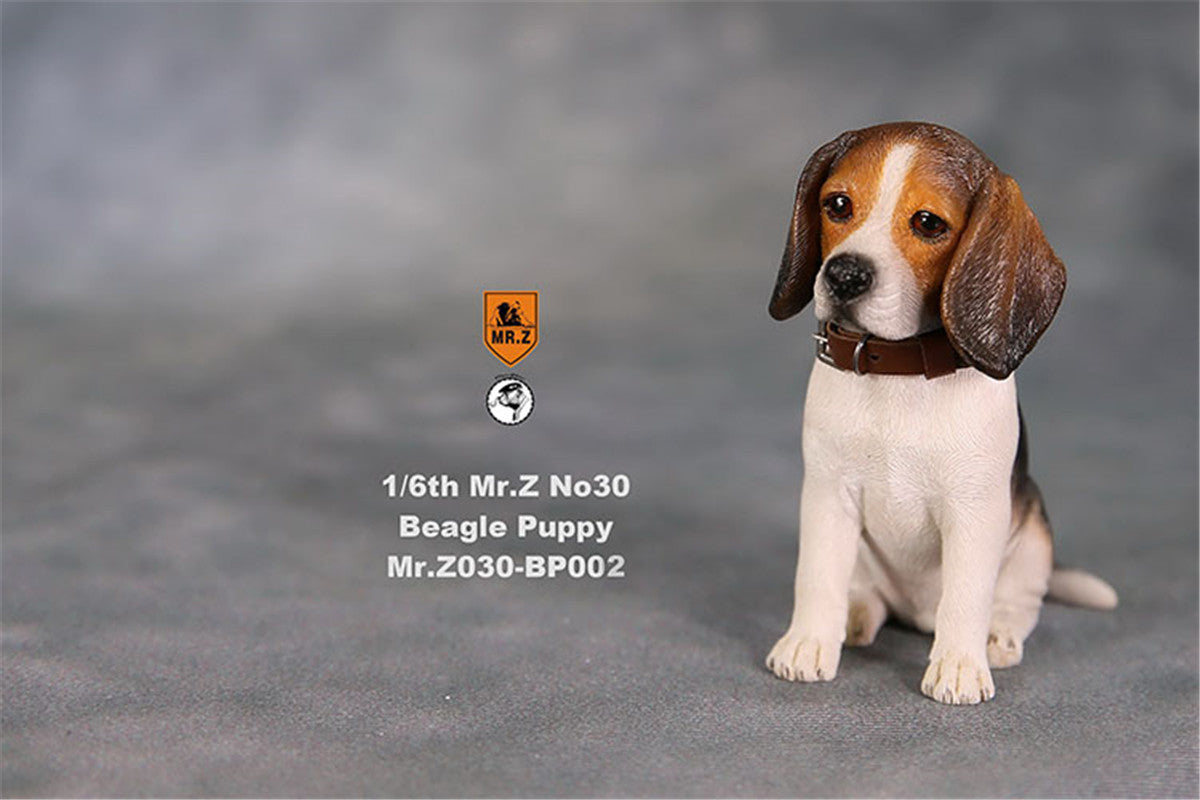 Mr.Z Beagle Puppy Figure