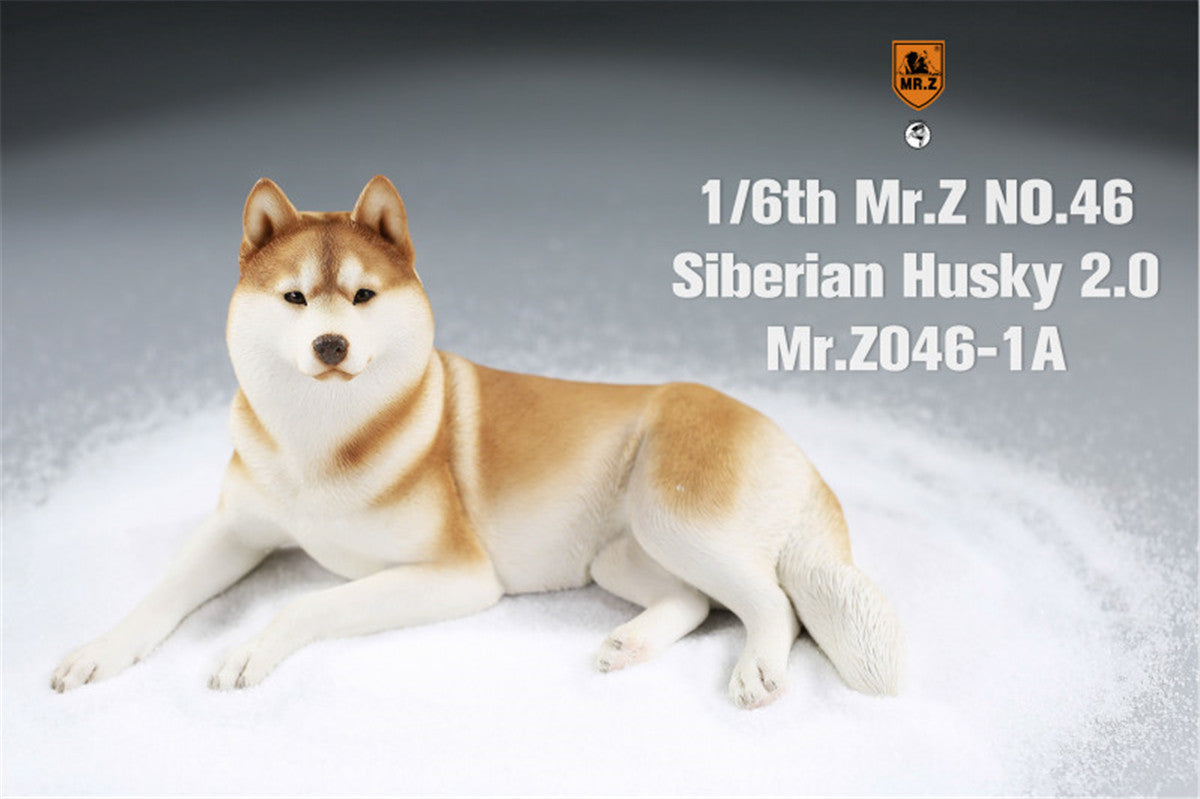 Mr.Z&JXK 1/6 Siberian Husky 2.0 Figure